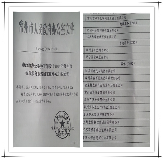 常州市政府再次確立中環(huán)互聯(lián)網(wǎng)為2014年現(xiàn)代服務(wù)業(yè)重點培育企業(yè)，中環(huán)互聯(lián)網(wǎng)作為常州電子商務(wù)領(lǐng)軍企業(yè)，15年專注在為企業(yè)提供互聯(lián)網(wǎng)營銷解決方案。